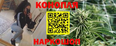 дмт Пенза